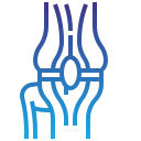 Joint Replacement Surgery in Vadodara